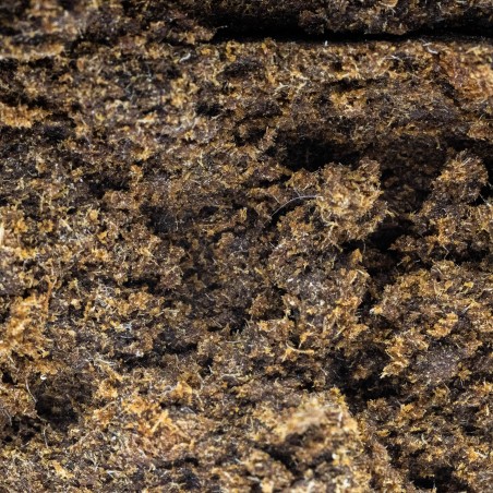 Hash CBD Resin: OG Brown Chip