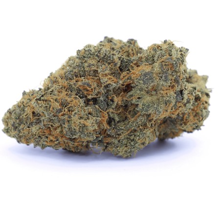 Amnesia Haze | HHC Flower | CBDdiscount