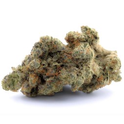 Gorilla Glue | HHC Flower | CBDdiscount