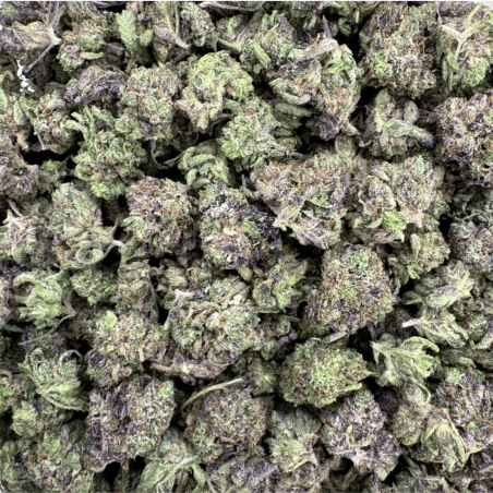Pop corn HHC | HHC Flower | CBDdiscount