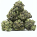 Pop corn HHC | HHC Flower | CBDdiscount