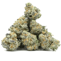 Pop Corn CBD | CBD Flower | CBDdiscount