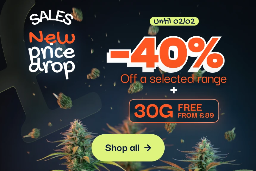 CBD pas chere offre du moment