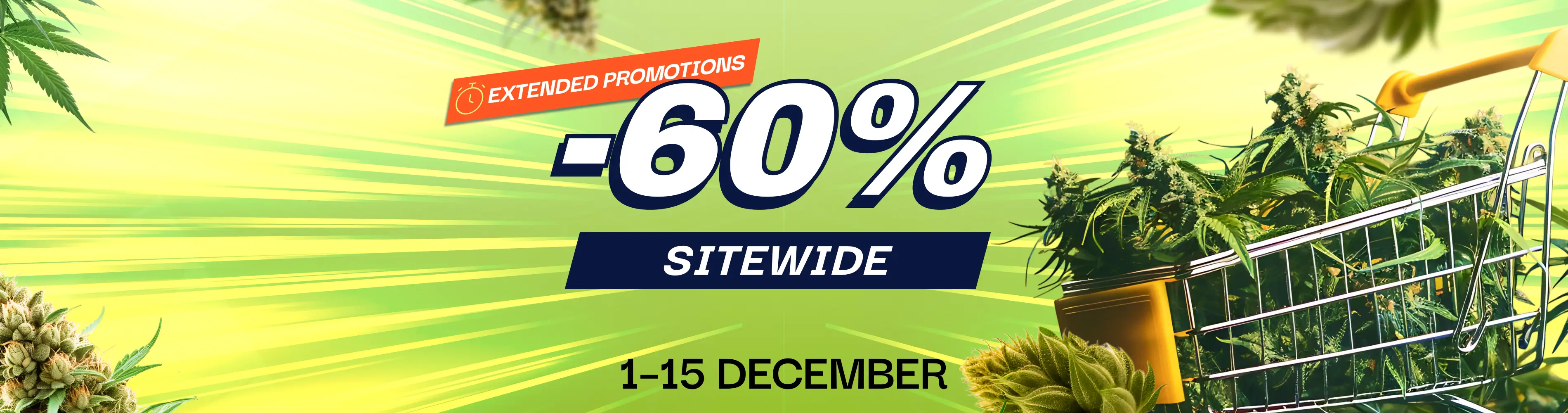 CBD pas chere offre du moment