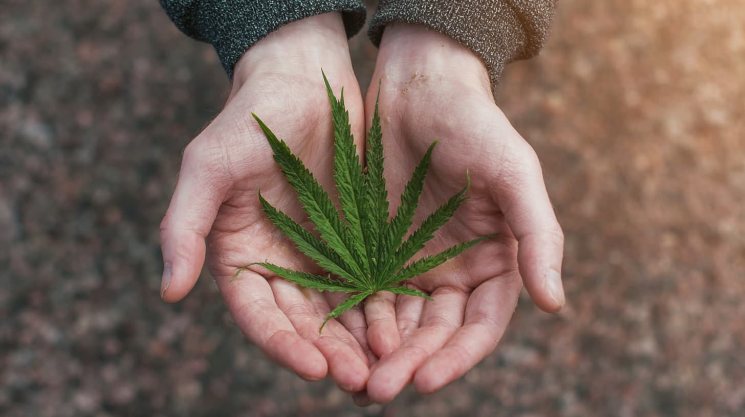 Hands relieved by CBD