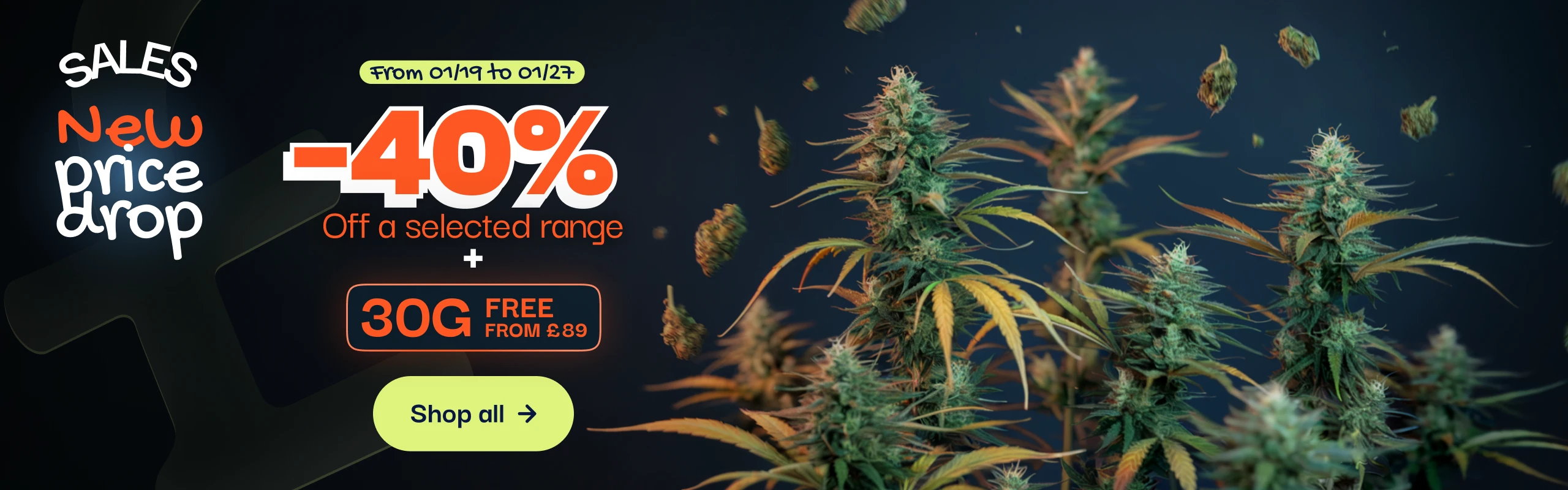 CBD pas chere offre du moment