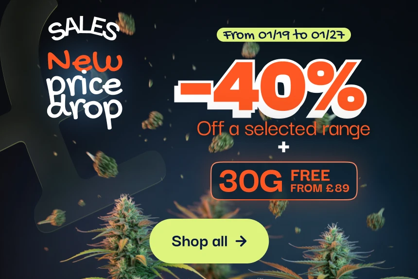 CBD pas chere offre du moment